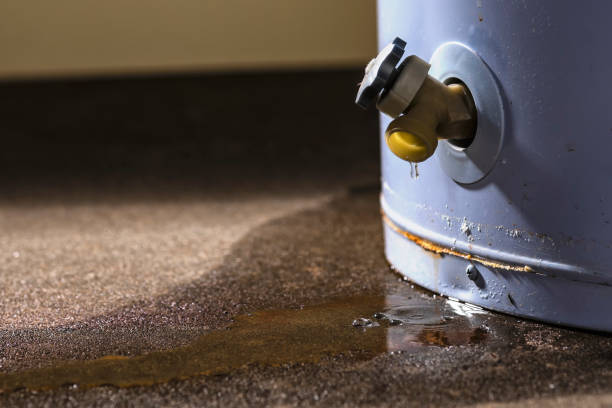 Reliable Solomons, MD Water damage restoration Solutions