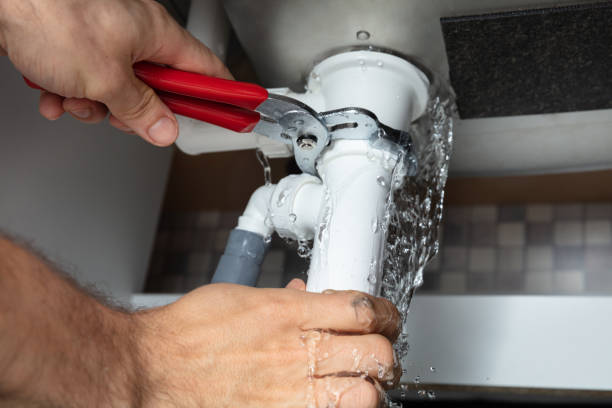 Best Basement water damage restoration  in Solomons, MD