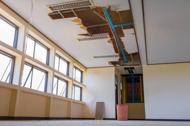 Best Sewage cleanup and water damage restoration  in Solomons, MD