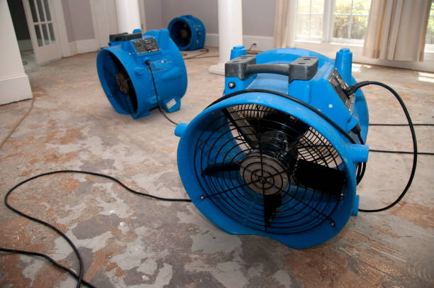 Best Carpet water damage restoration  in Solomons, MD