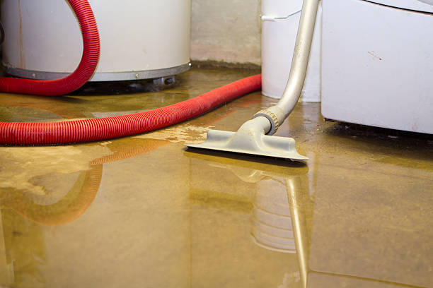 Best 24-hour water damage restoration  in Solomons, MD