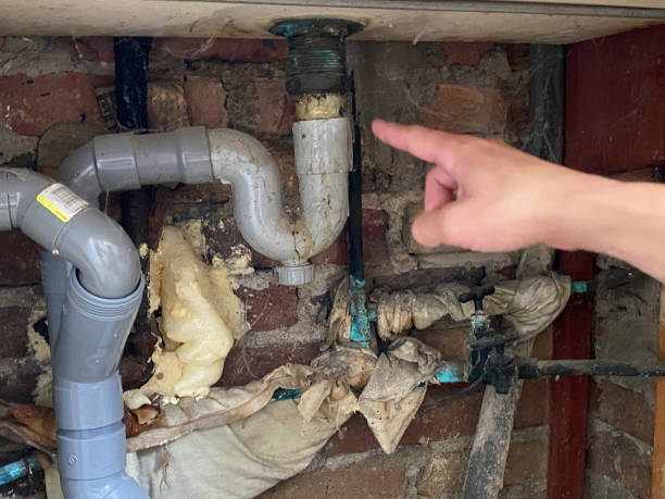 Best 24-hour water damage restoration  in Solomons, MD