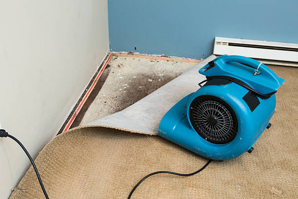 Best Flooded house restoration  in Solomons, MD